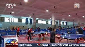 必一运动bsport体育 世锦赛用过尤拉乒乓球台么